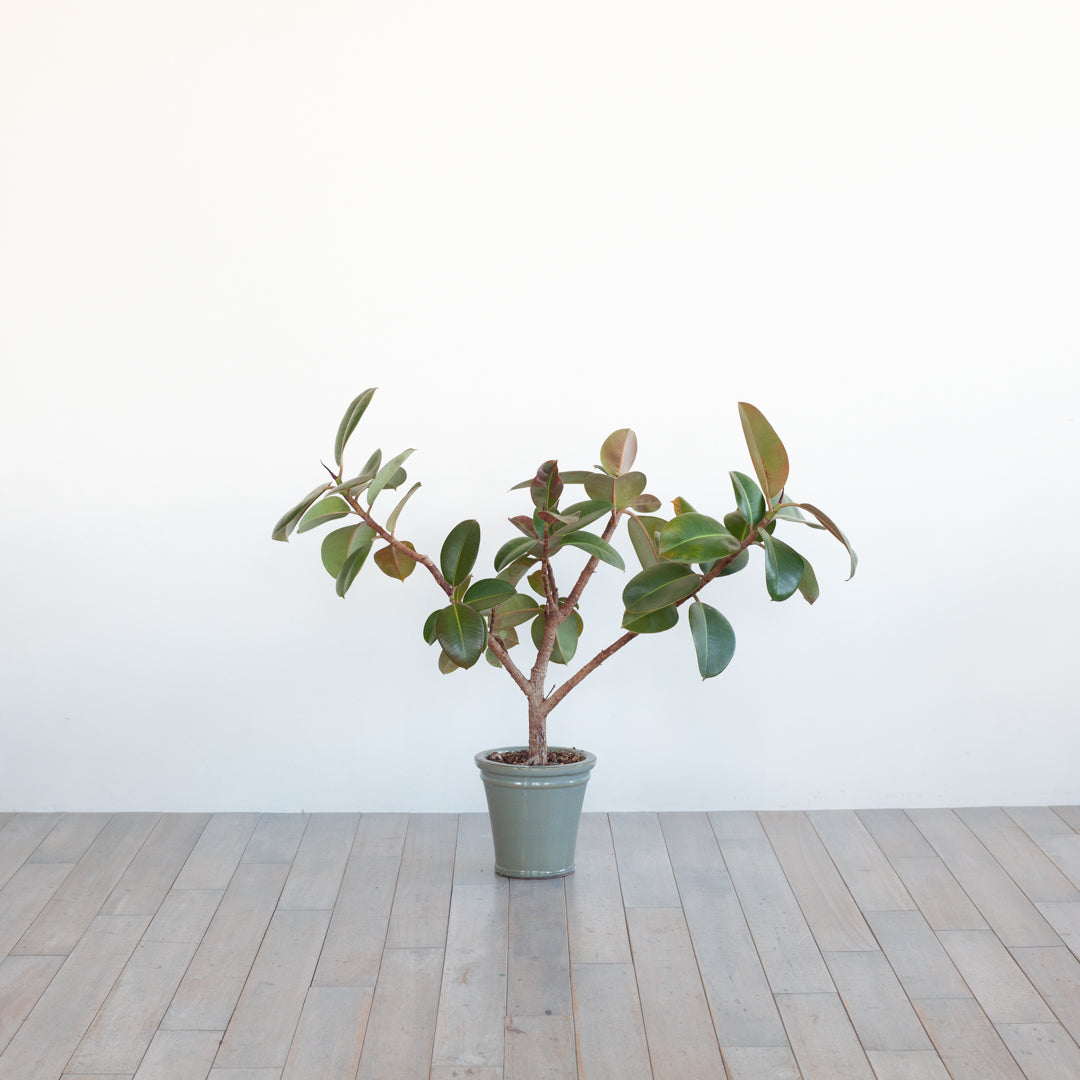 P0010.jpg?v=1631770321