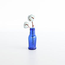 画像をギャラリービューアに読み込む, Glass Bottle / BL（AS0145）
