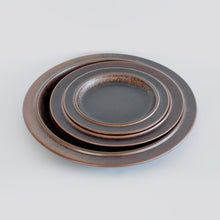 画像をギャラリービューアに読み込む, Plate（AS0450）
